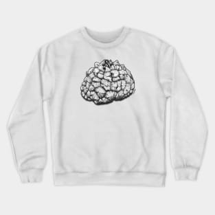 Dioscorea Elephantipes Caudex Crewneck Sweatshirt